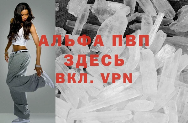 стафф Алзамай