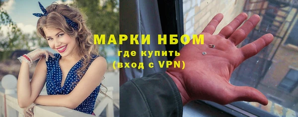 стафф Алзамай