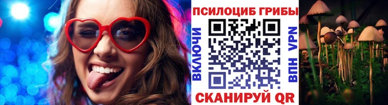 Псилоцибиновые грибы Psilocybine cubensis  МЕГА ТОР  Александровское 